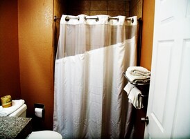 Combined shower/tub, free toiletries, hair dryer, towels