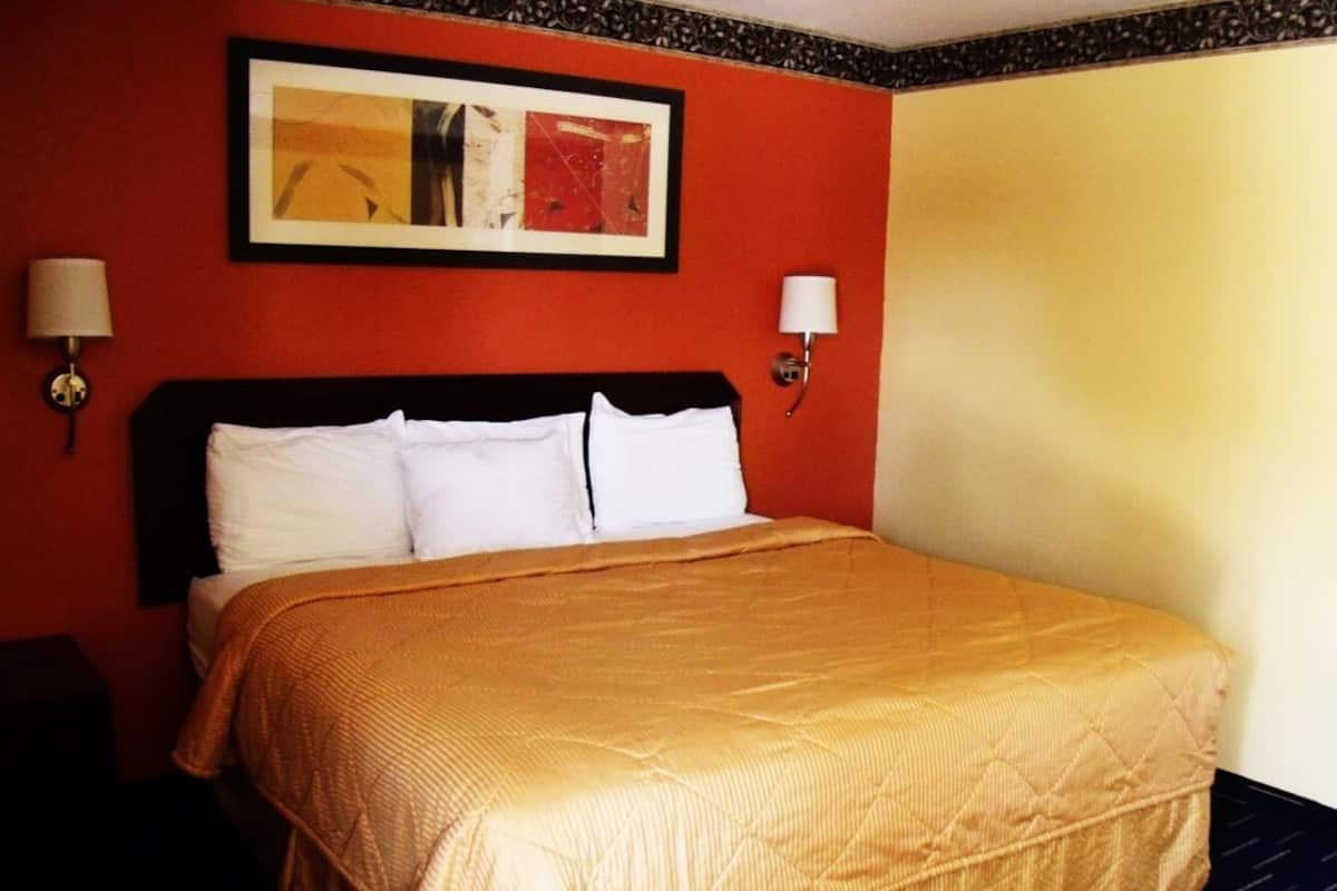 Standard Room, 1 King Bed | Desk, soundproofing, iron/ironing board, rollaway beds