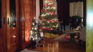 A traditional living room with a large Christmas tree, a piano, and a small table.