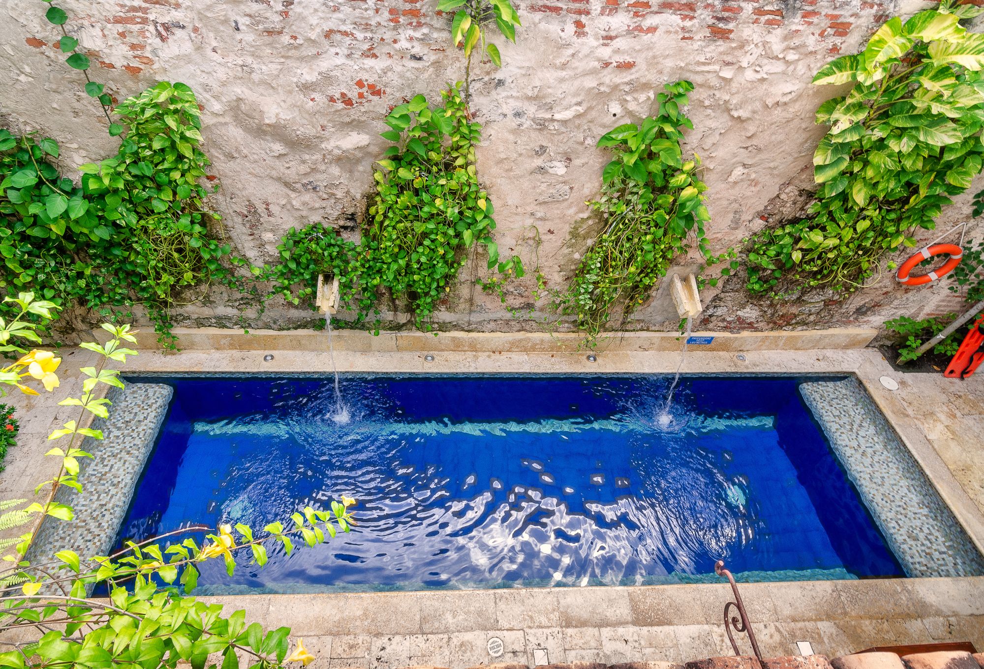 Ein rechteckiger Pool mit klarem, blauem Wasser, umgeben von einer Steinumrandung und üppigem Grün, das an den Wänden wächst.