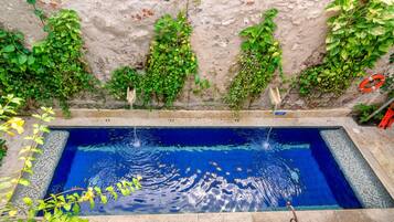 Ein rechteckiger Pool mit klarem, blauem Wasser, umgeben von einer Steinumrandung und üppigem Grün, das an den Wänden wächst.