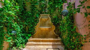 Een stenen fontein omringd door weelderige groene beplanting in een tuin.