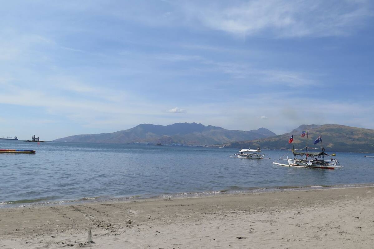 Una playa con barcos y montañas al fondo.
