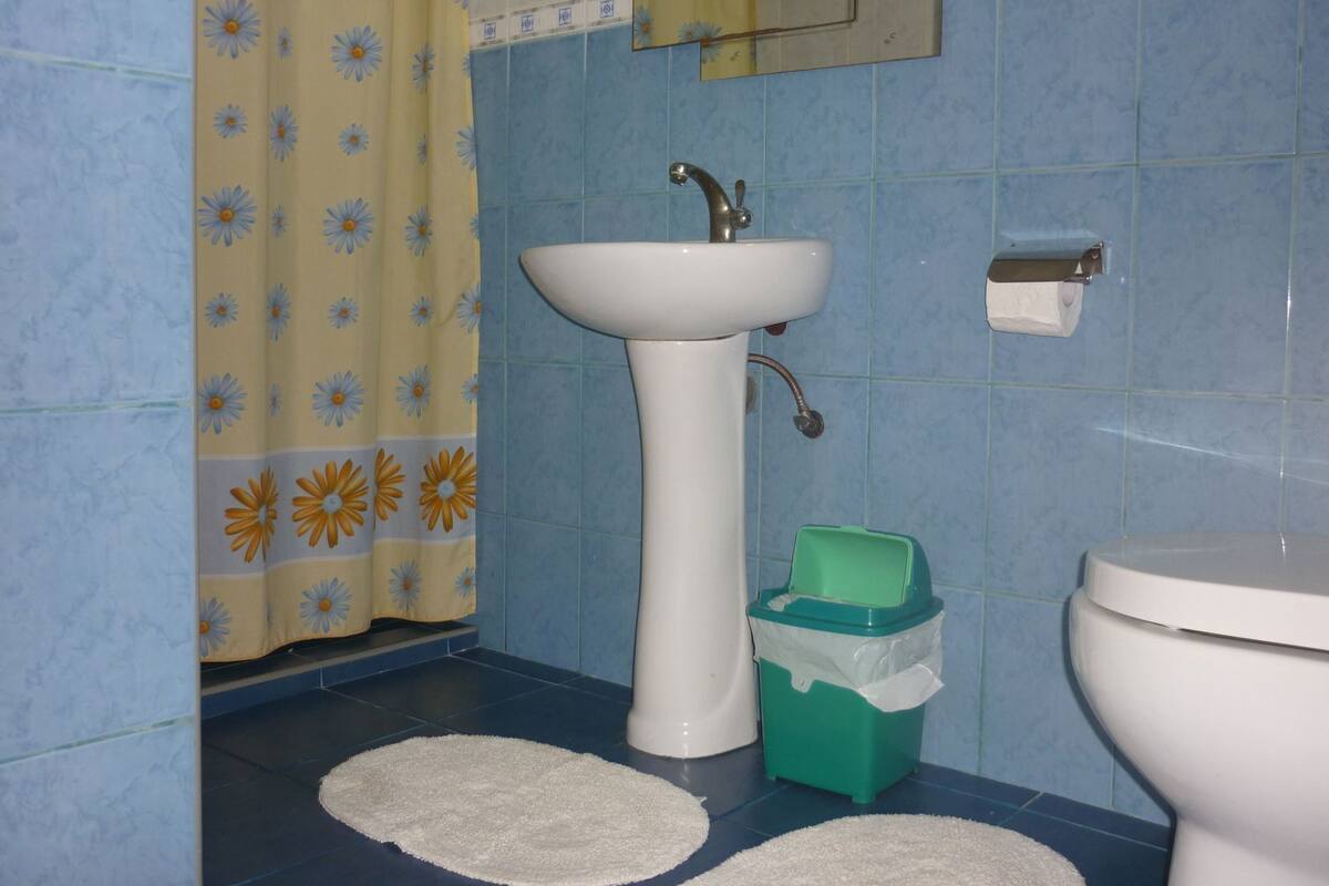 Un baño con lavamanos, inodoro y cortina de ducha.