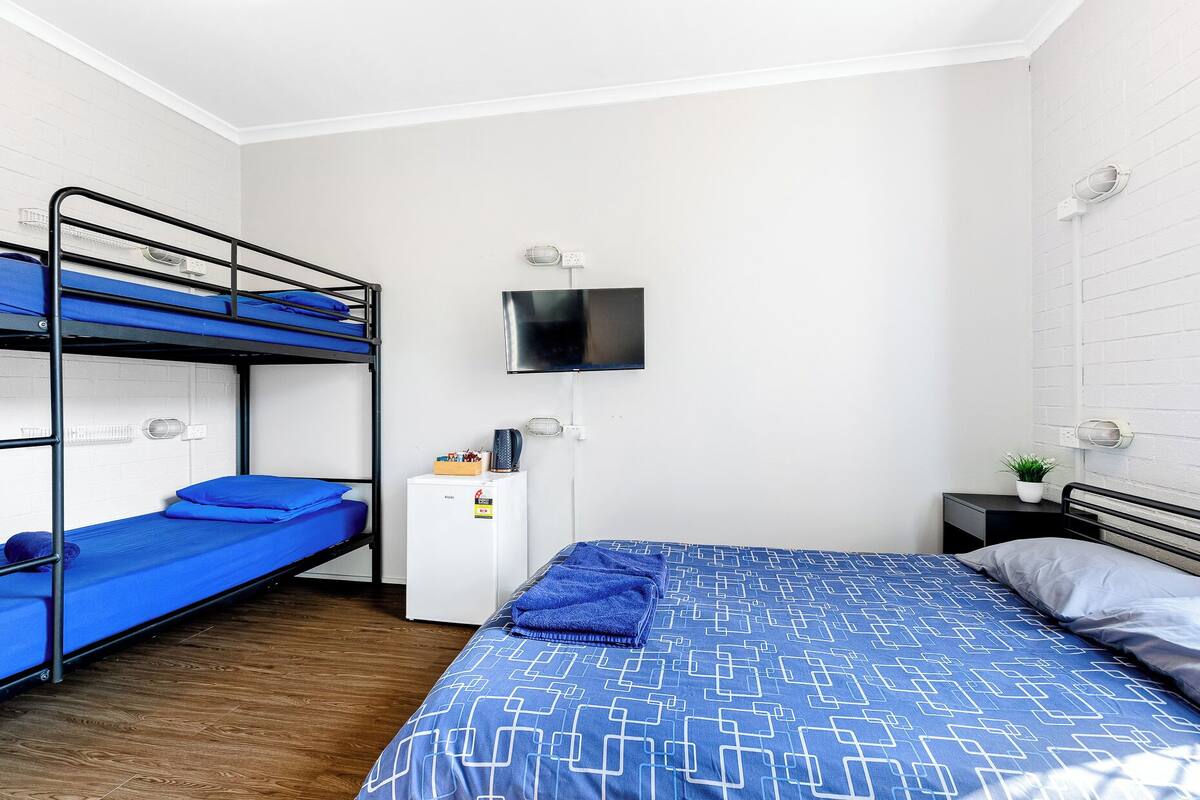 A dormitory room with bunk beds, a small desk, a television, and a nightstand with a plant.