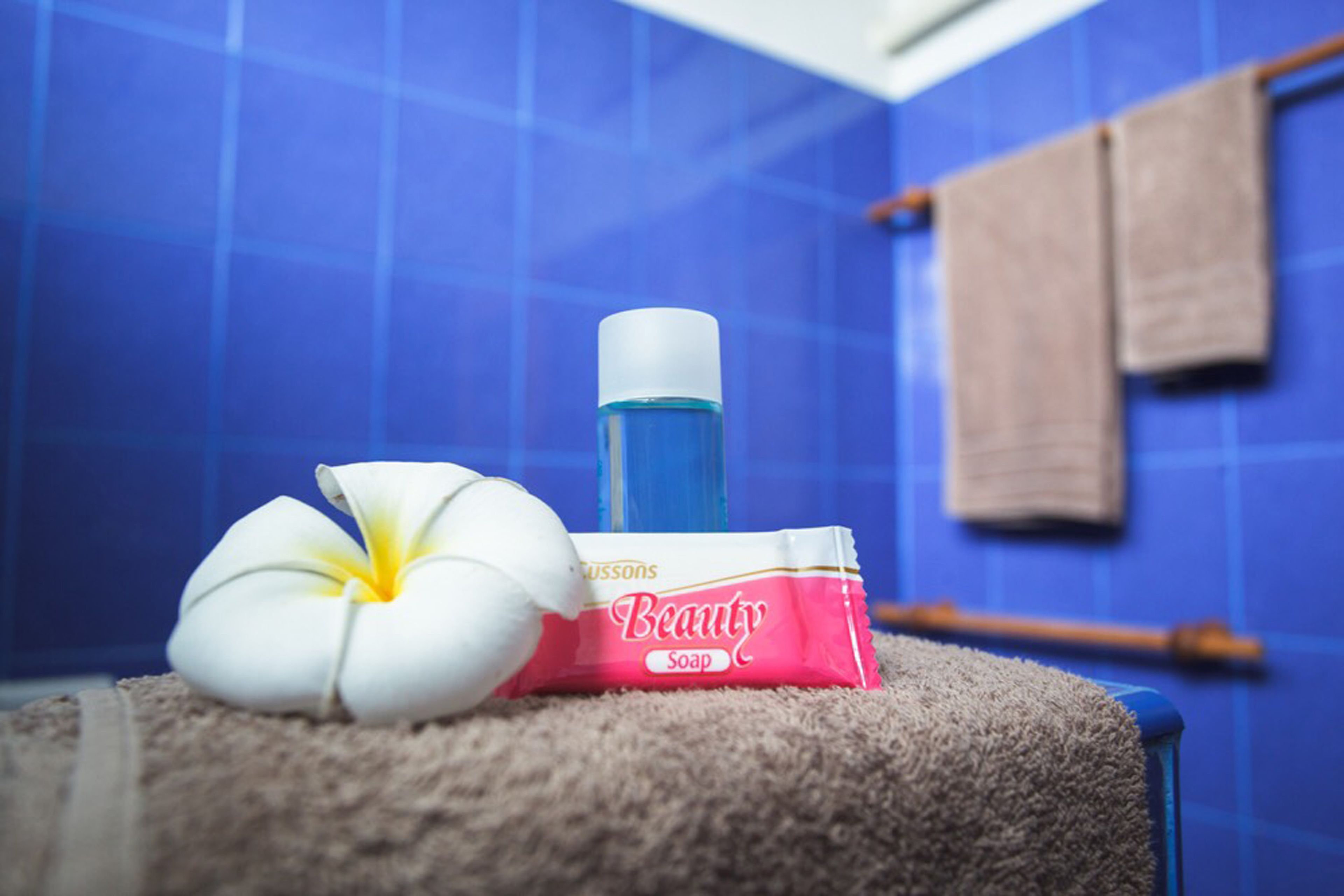 standard cottage room | bathroom | shower, free toiletries, hair dryer, towels