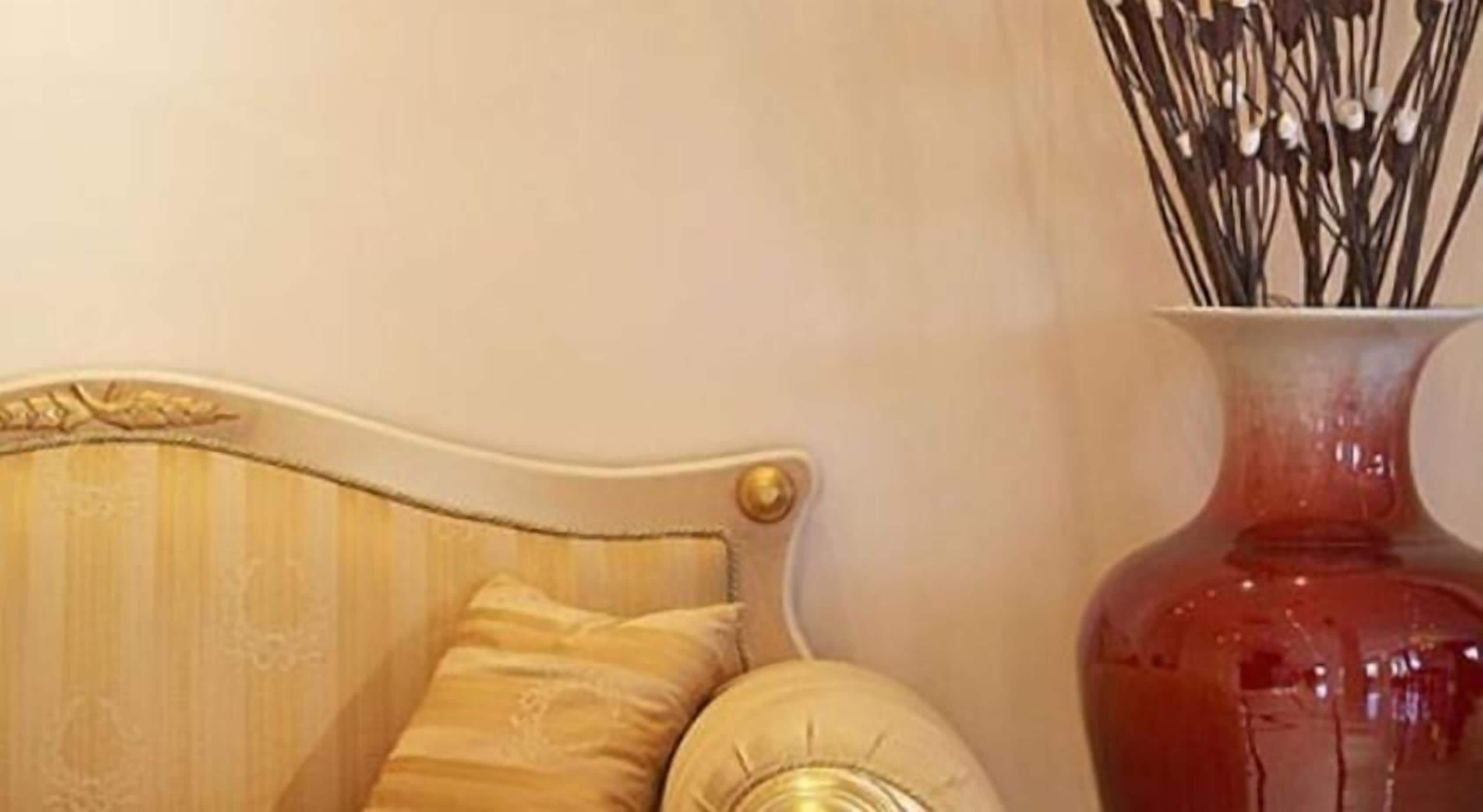 A sofa with a curved backrest and a decorative pillow.