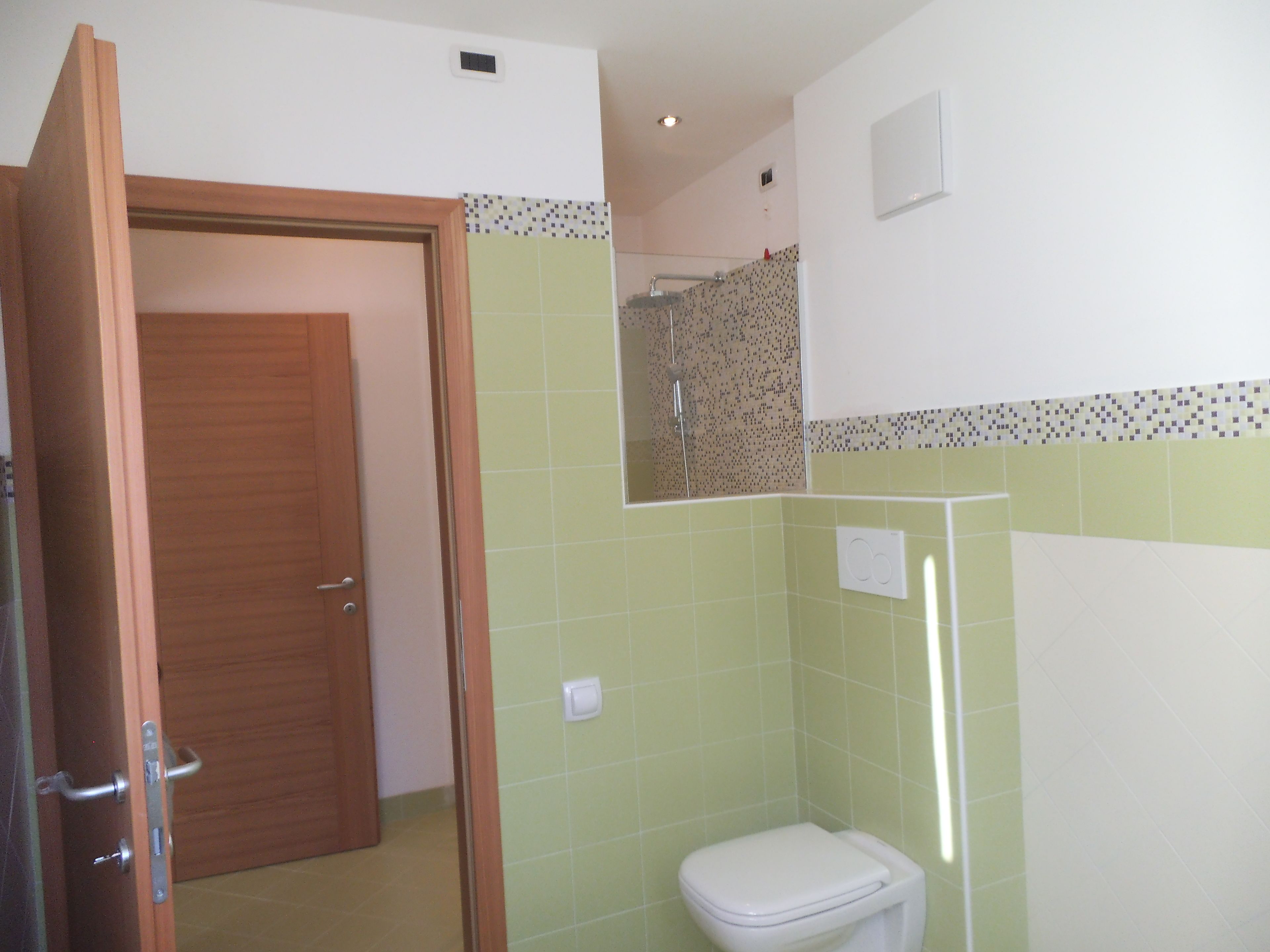 A bathroom with a toilet, a shower, and a door leading to another room.