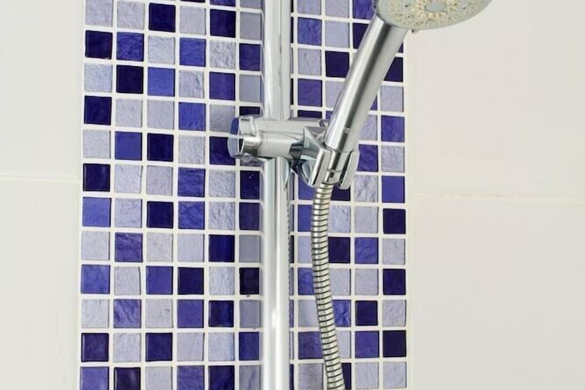 hand-held showerhead