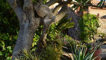 Facciata della struttura