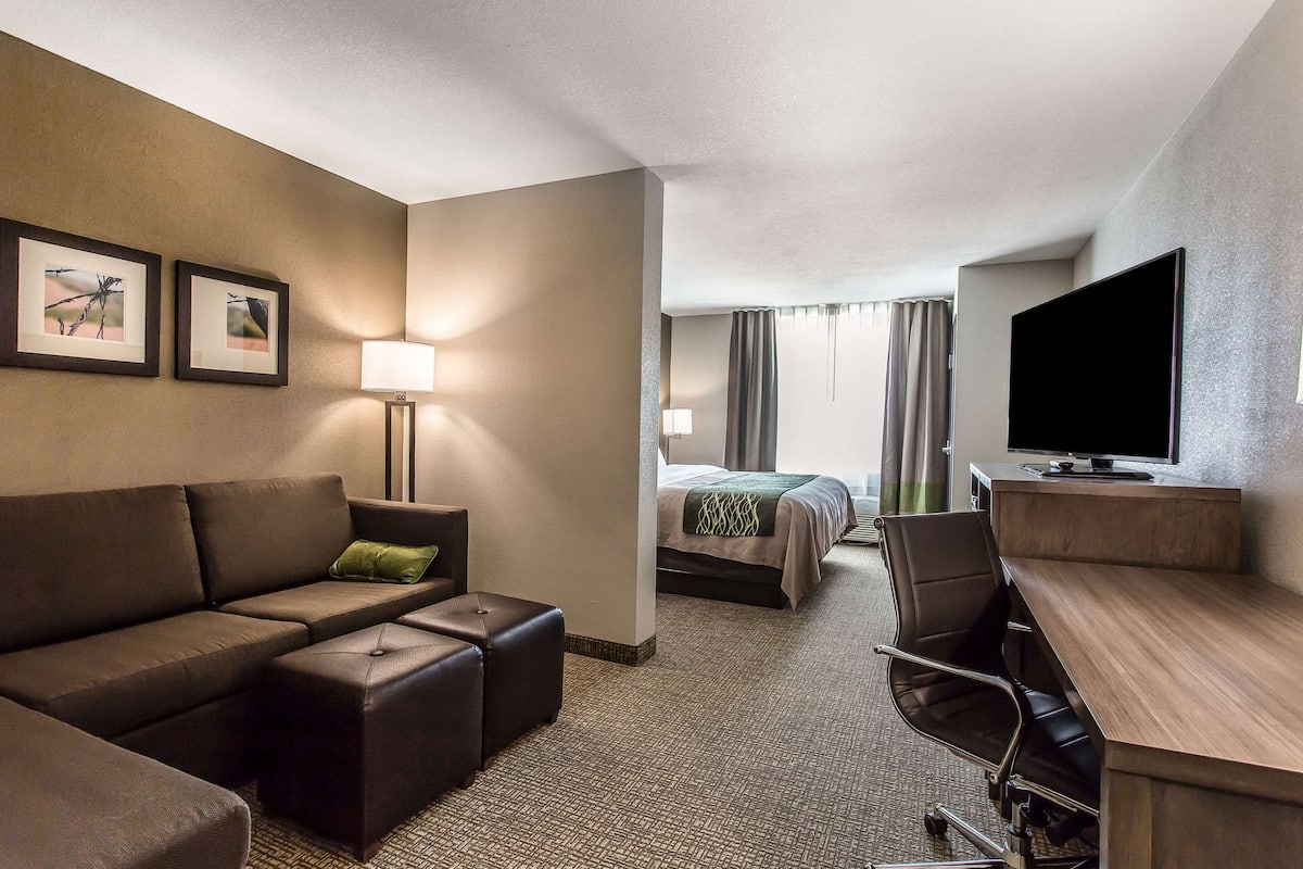A hotel room with a sofa, a desk, a television, a bed, and a nightstand.