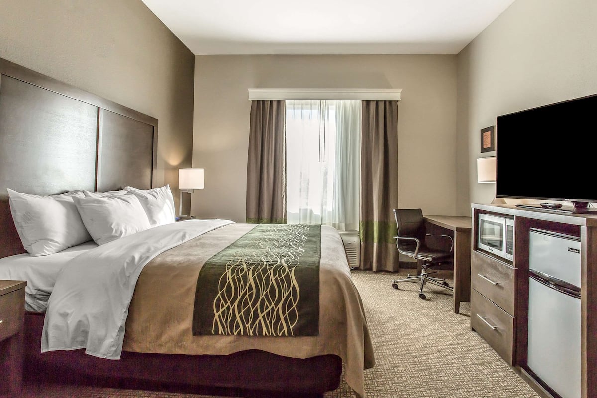 A hotel room with a bed, a desk, a television, and a refrigerator.