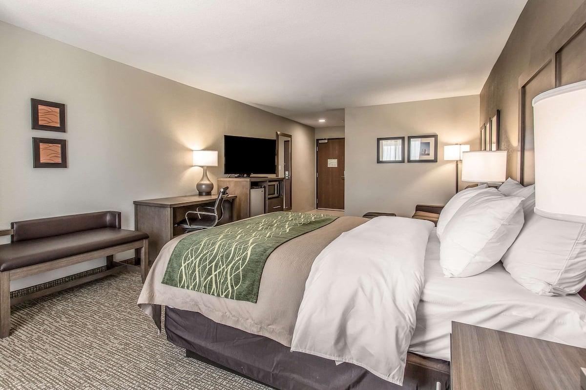 A hotel room with a bed, a desk, a television, and a bench.
