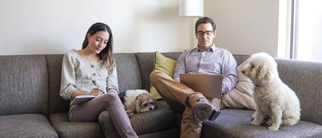A living room with a grey sofa, a laptop, and two dogs.