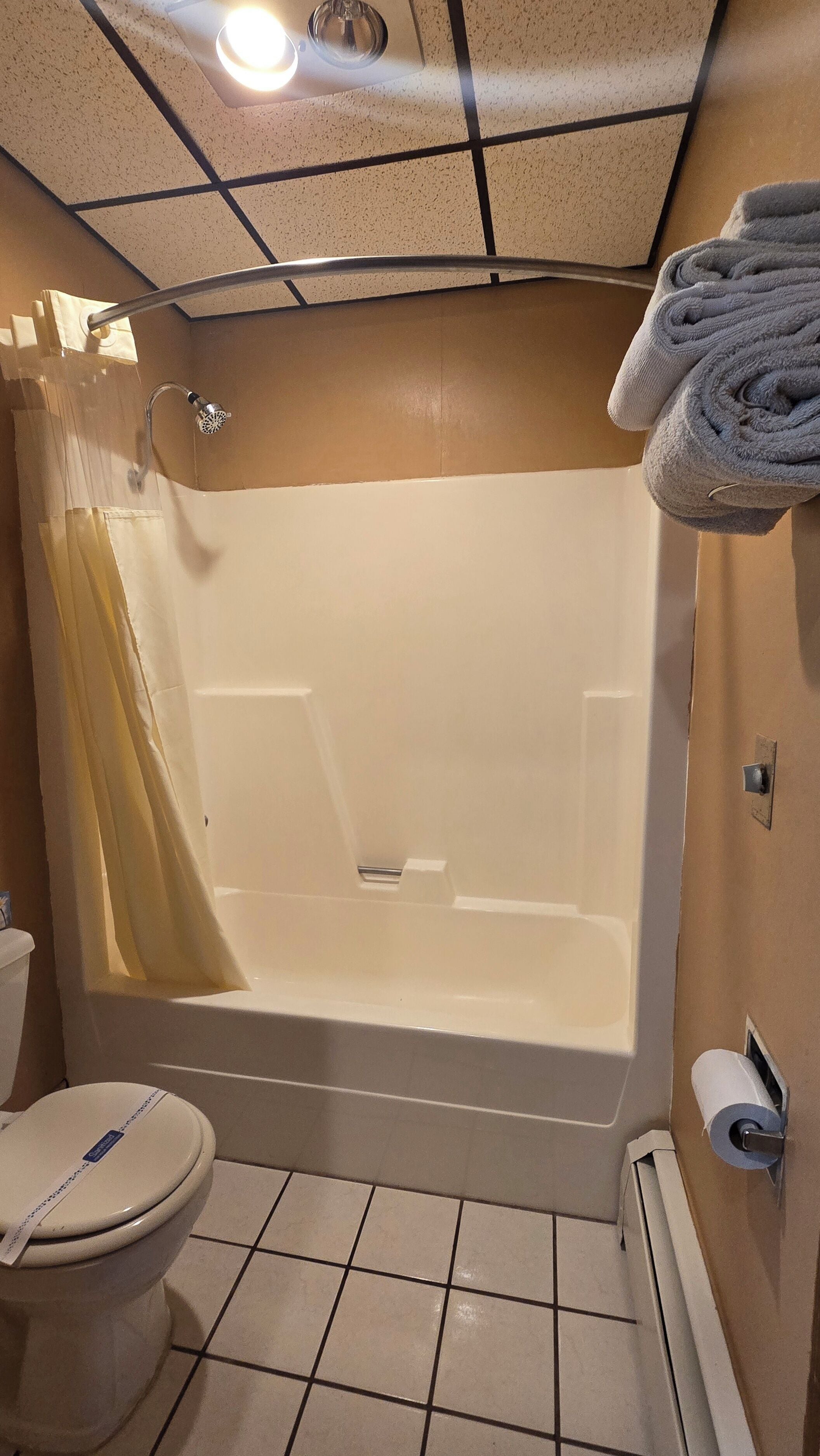 Kamar Standar, 1 Tempat Tidur Queen, pemandangan danau | Kamar mandi | Kombinasi shower/bathtub dan perlengkapan mandi gratis