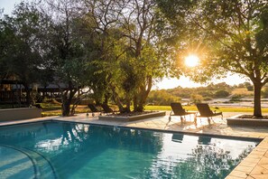 Outdoor pool, pool umbrellas, sun loungers - Inyati Game Lodge (Sabi Sand Reserve)