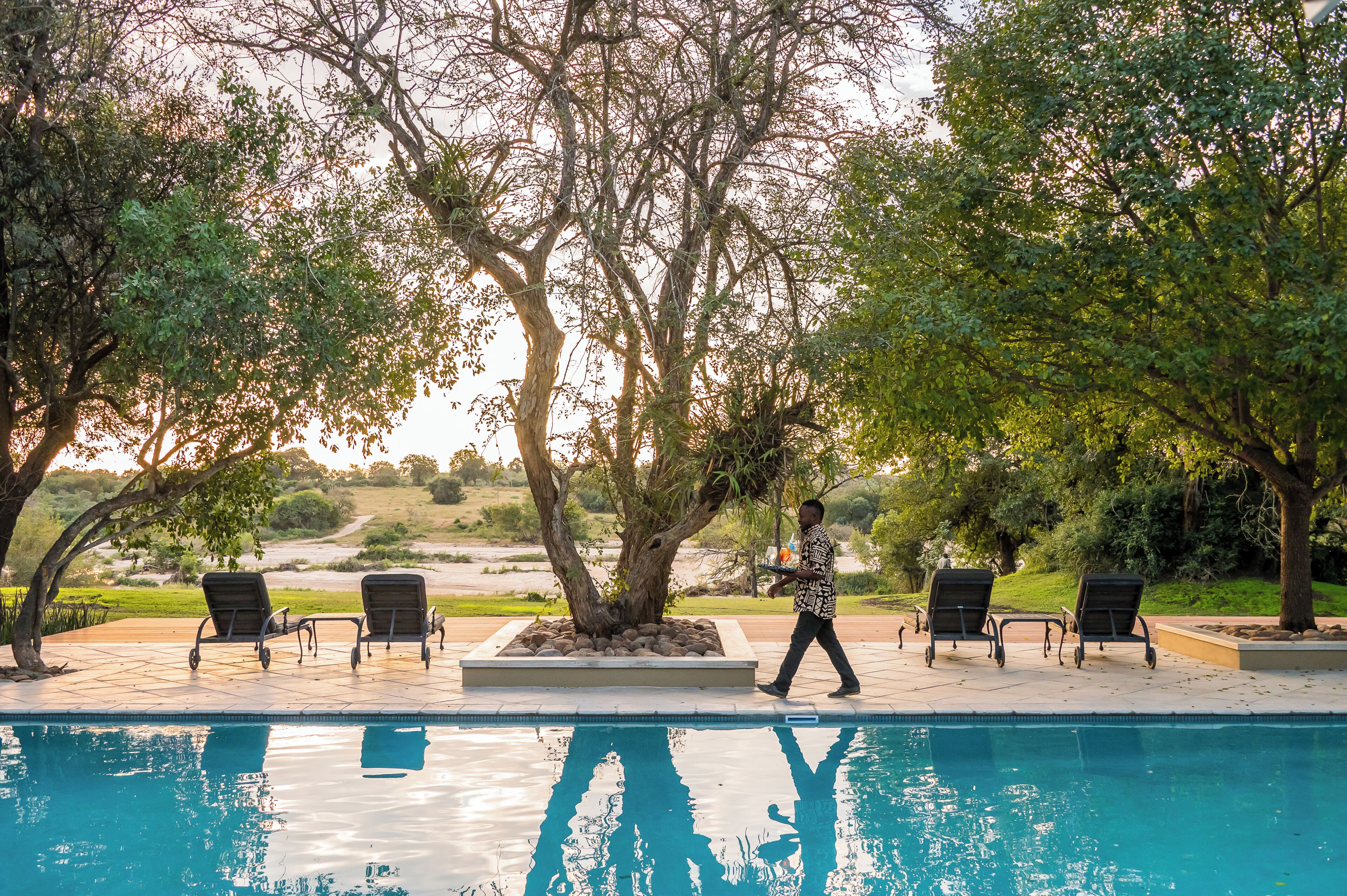 Outdoor pool, pool umbrellas, sun loungers