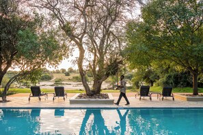 Outdoor pool, pool umbrellas, sun loungers - Inyati Game Lodge (Sabi Sand Reserve)