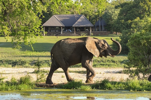 Inyati Game Lodge