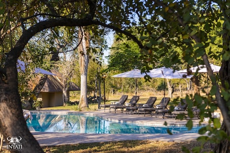 Una piscina al aire libre, sombrillas, sillones reclinables de piscina