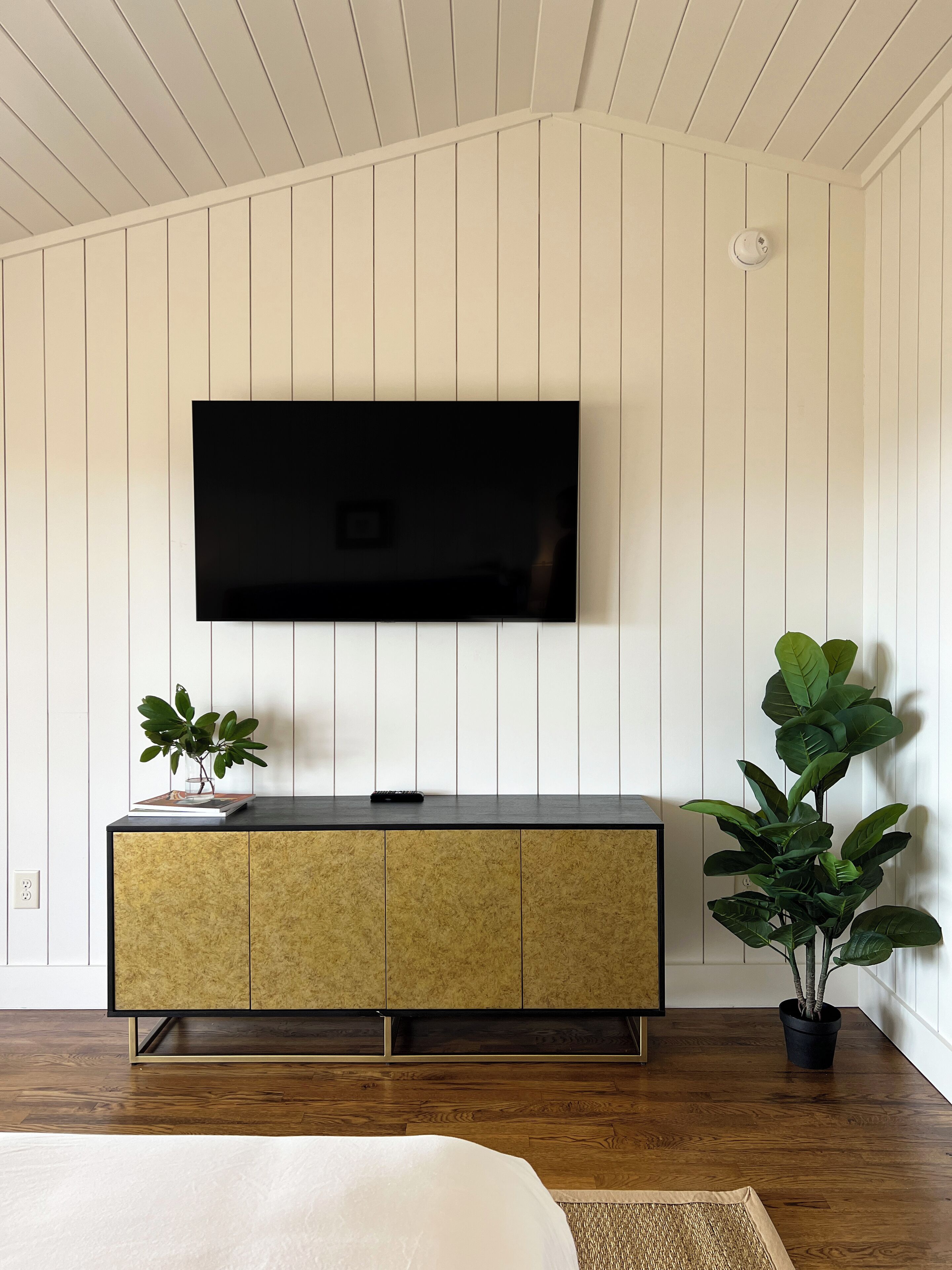 A modern living room with a flat-screen TV mounted on a white paneled wall, a wooden floor, a dark-toned console table with a plant, and a large potted plant to the right.