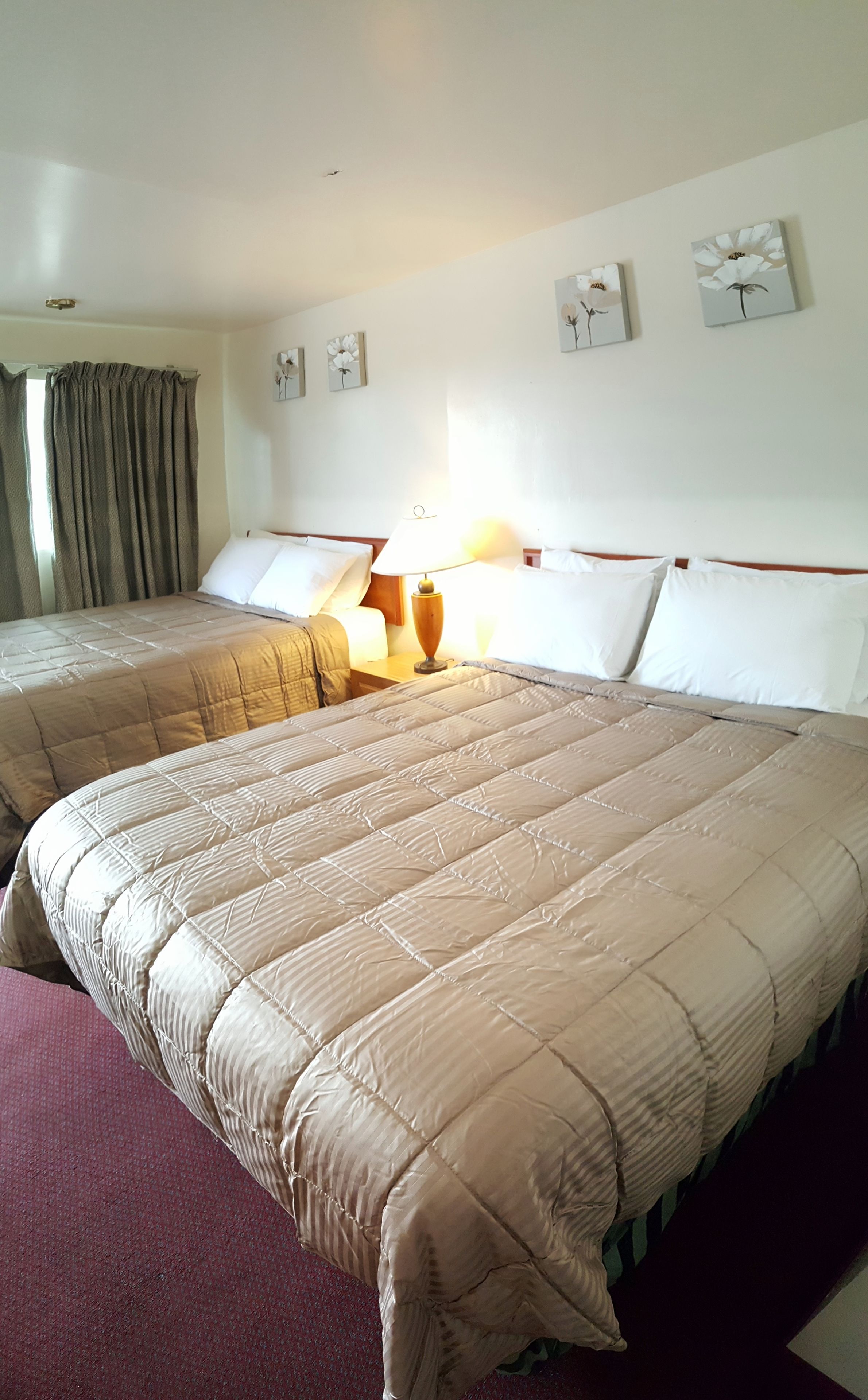 舒适客房, 2 张大床, 吸烟房, 冰箱和微波炉 | 客房景观