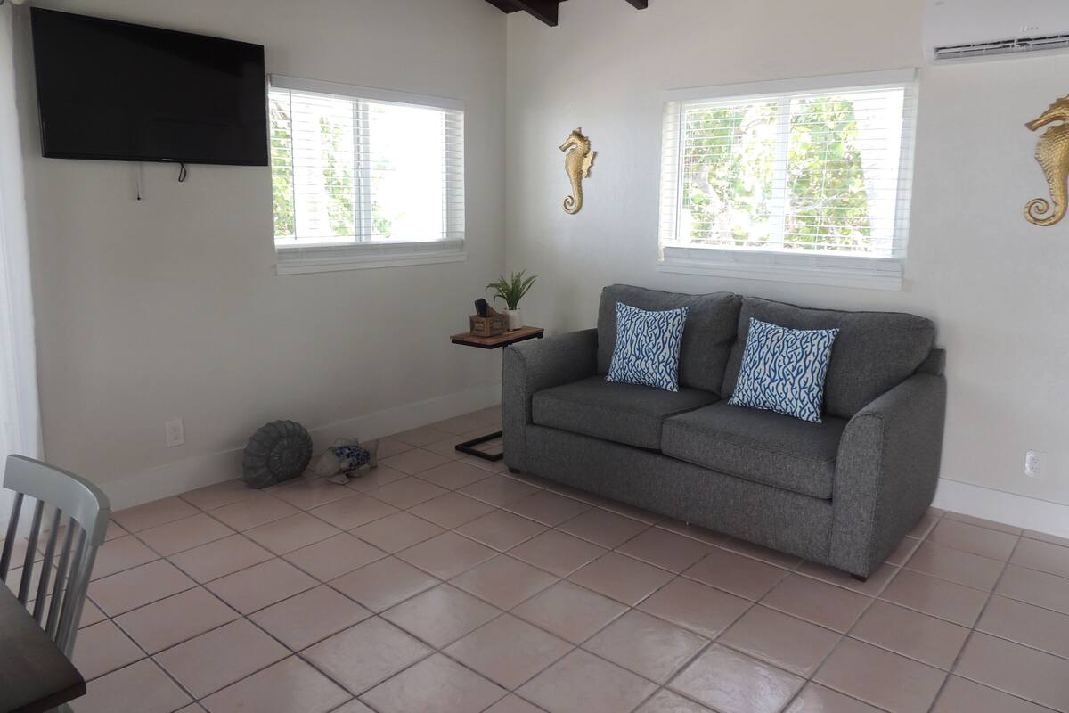 suite, 1 king bed with sofa bed, kitchenette, oceanfront | living area | 20-inch flat-screen tv with cable channels, tv