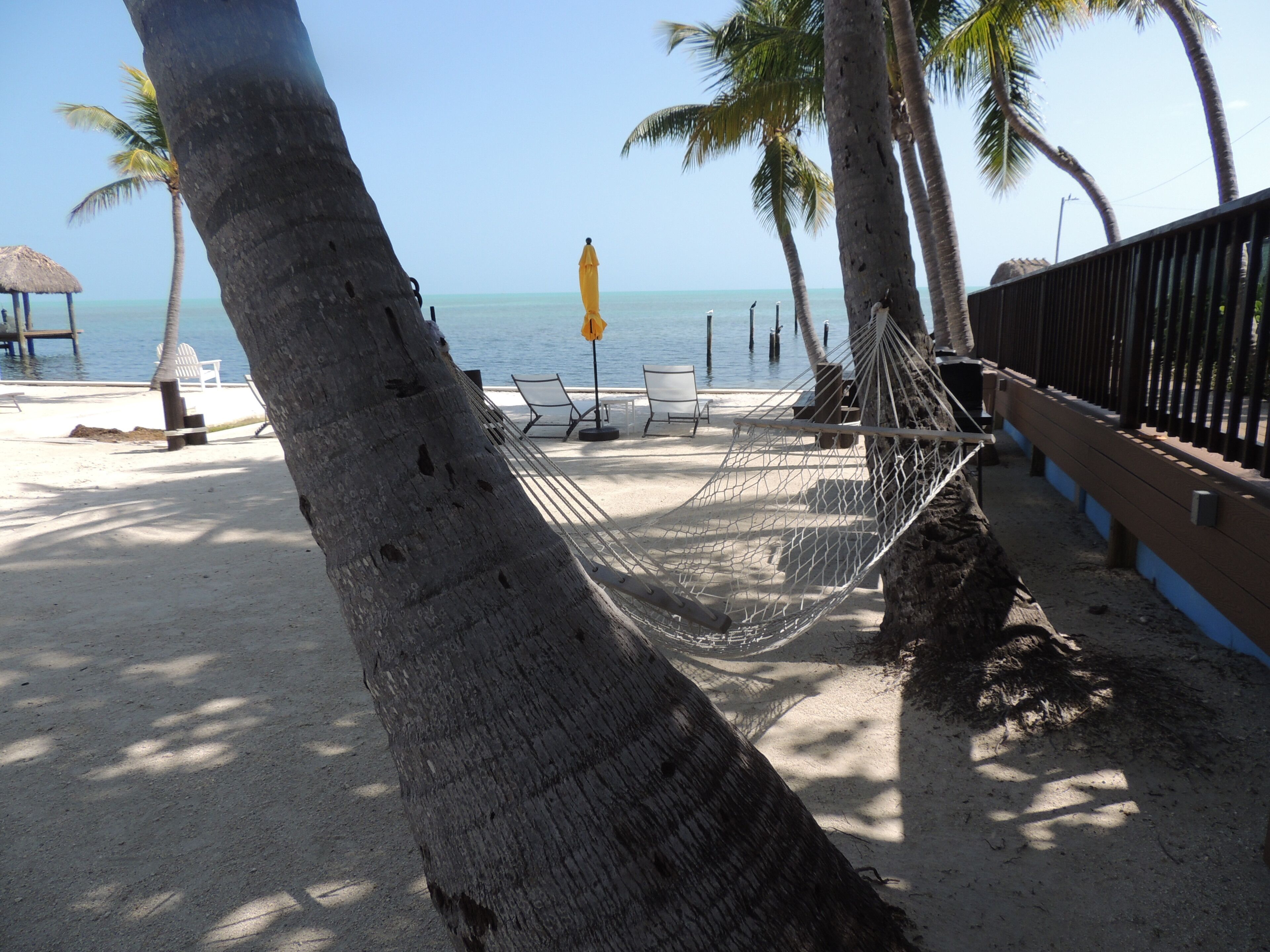 A beach with a hammock, lounge chairs, and a thatched hut.