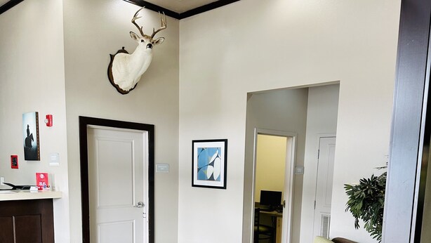 Un vestíbulo moderno con una mesa de centro de vidrio, un sofá marrón, una decoración con cabeza de venado y una recepción.
