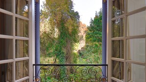 Vista a través de una ventana con barandilla de metal, mostrando un paisaje verde exuberante con árboles y una colina al fondo.