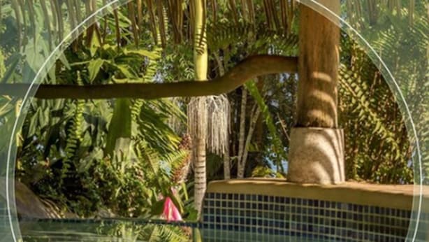 A circular view of a pool area surrounded by lush tropical vegetation.