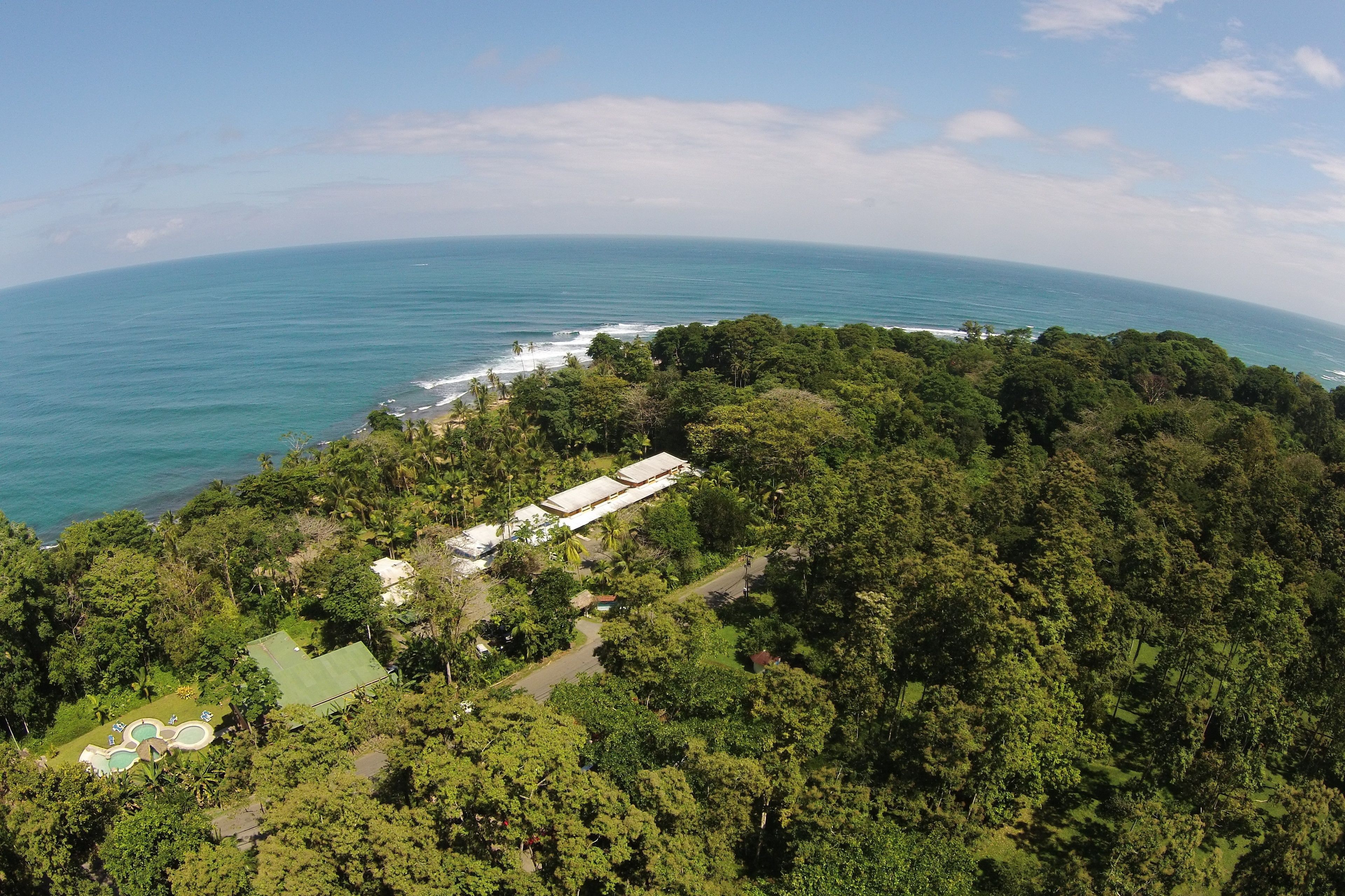 An aerial view of a coastal property with dense forest, a swimming pool, and a building with a flat roof.