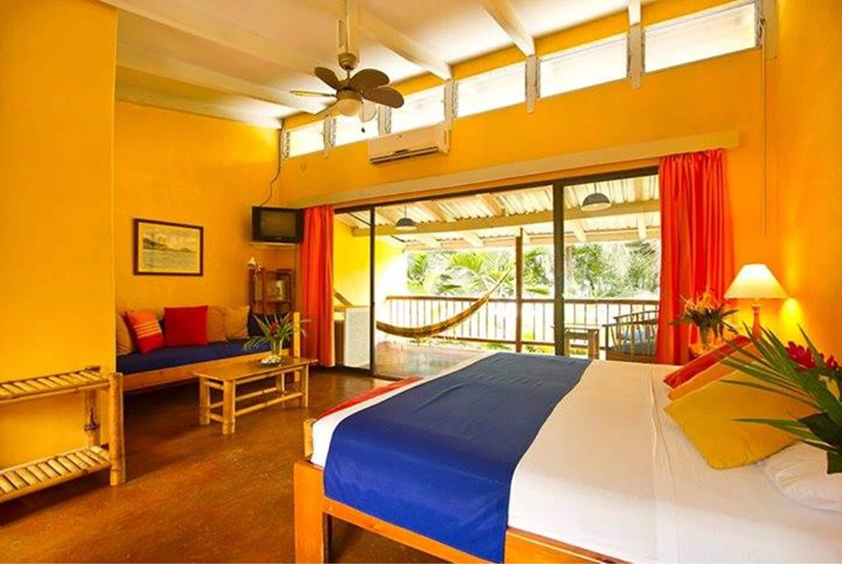 A room with a bed, a sofa, a TV, and a window with a view of greenery.