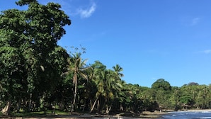 A beach with rocky shoreline, palm trees, and clear blue sky.