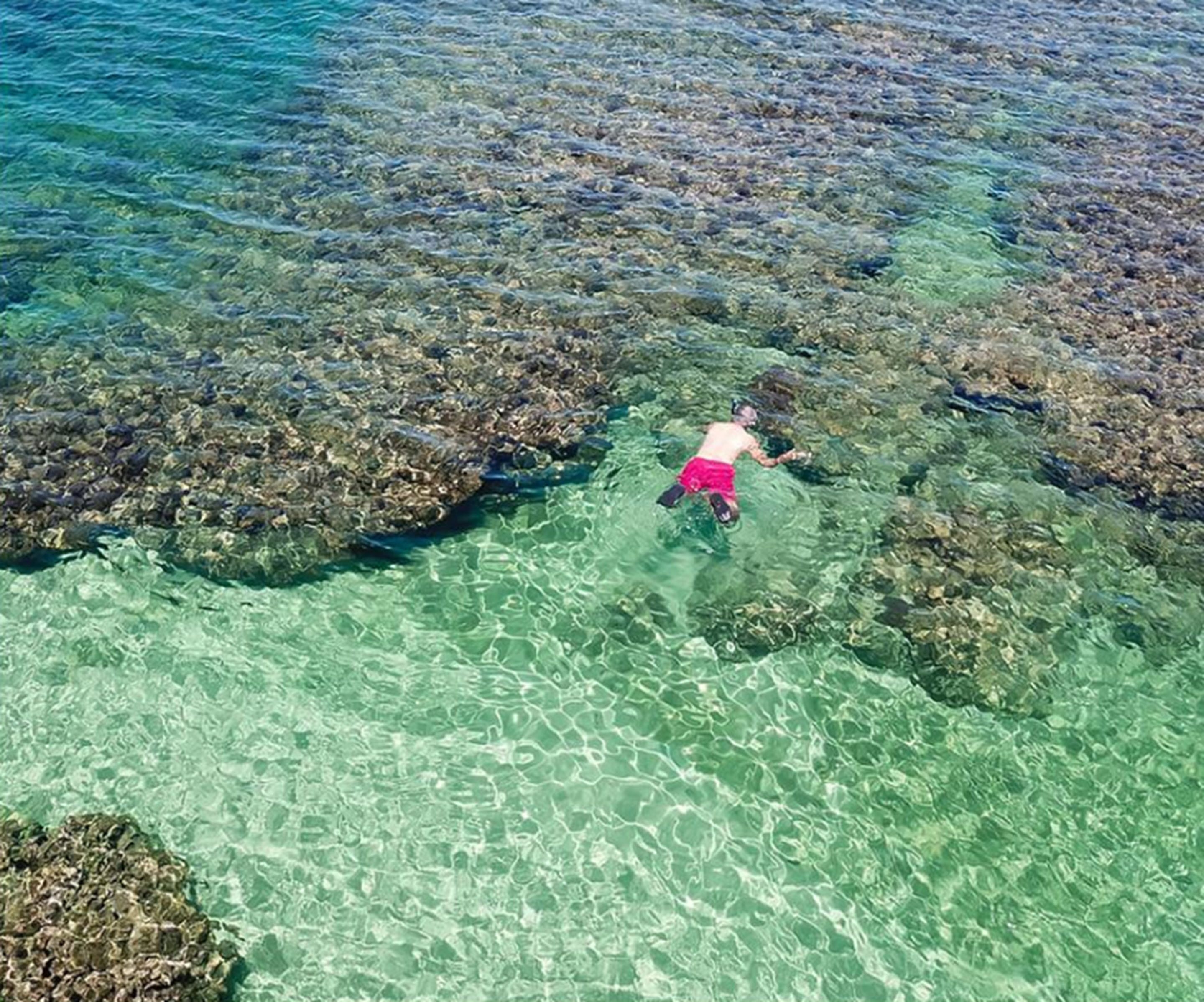 A person snorkeling in clear shallow water with rocky terrain.