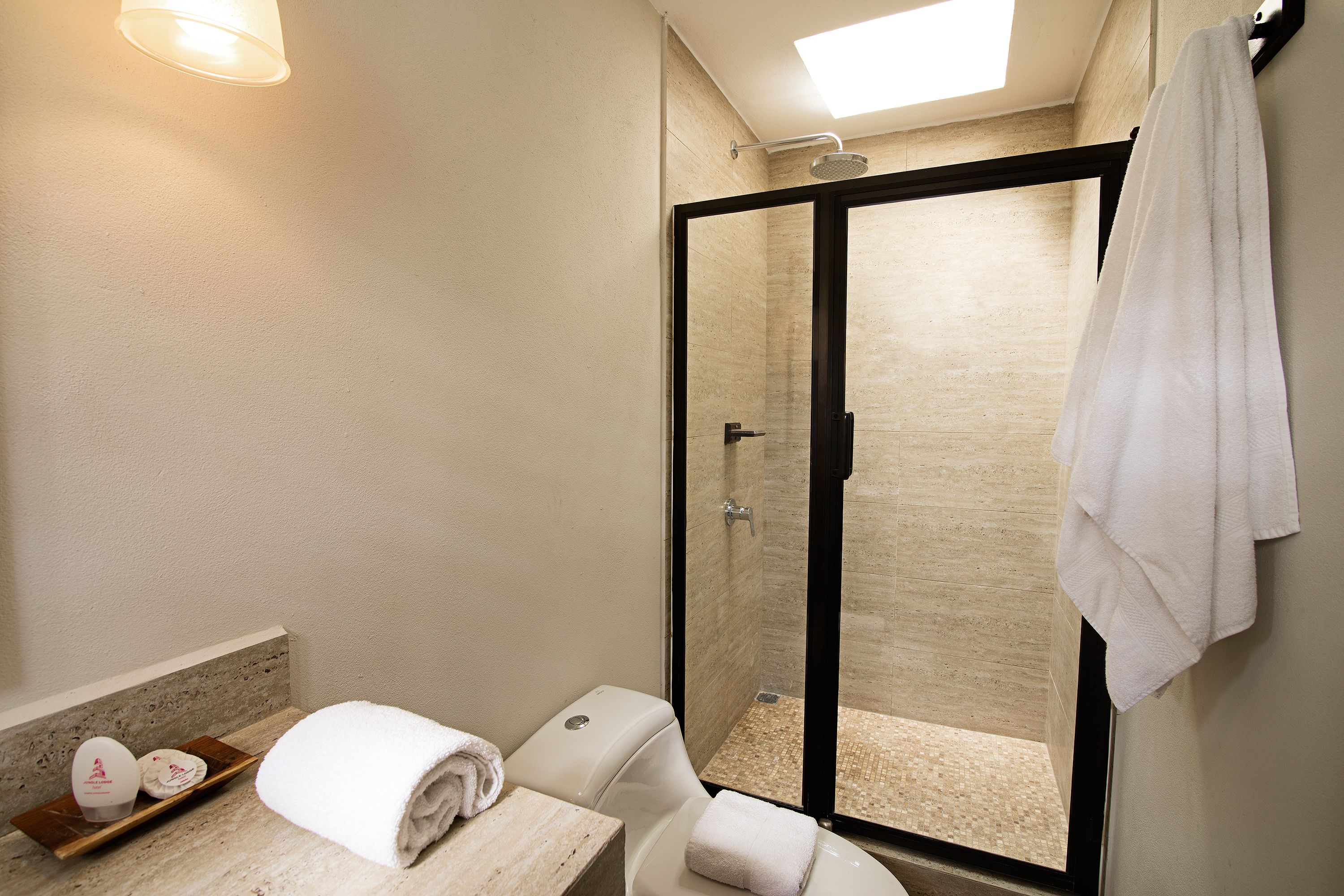 Une salle de bain avec une douche, des toilettes et un porte-serviettes.