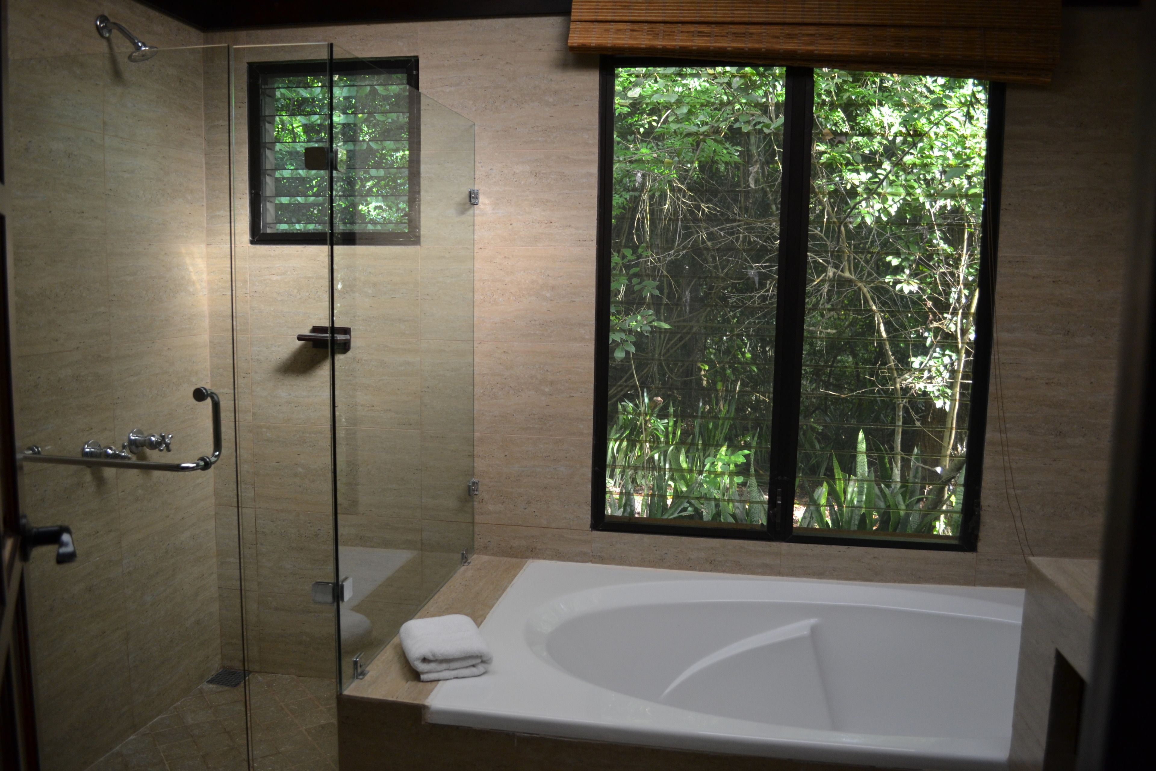 A modern bathroom with a glass-enclosed shower, a bathtub, and a window with a view of greenery.