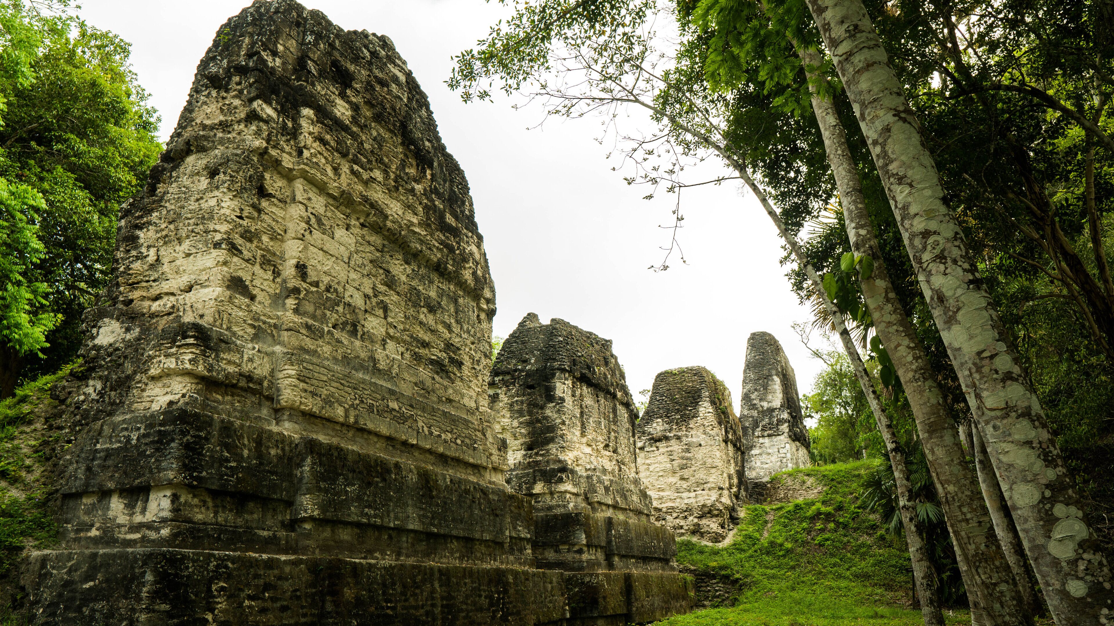 Photo - Jungle Lodge Tikal Hostal