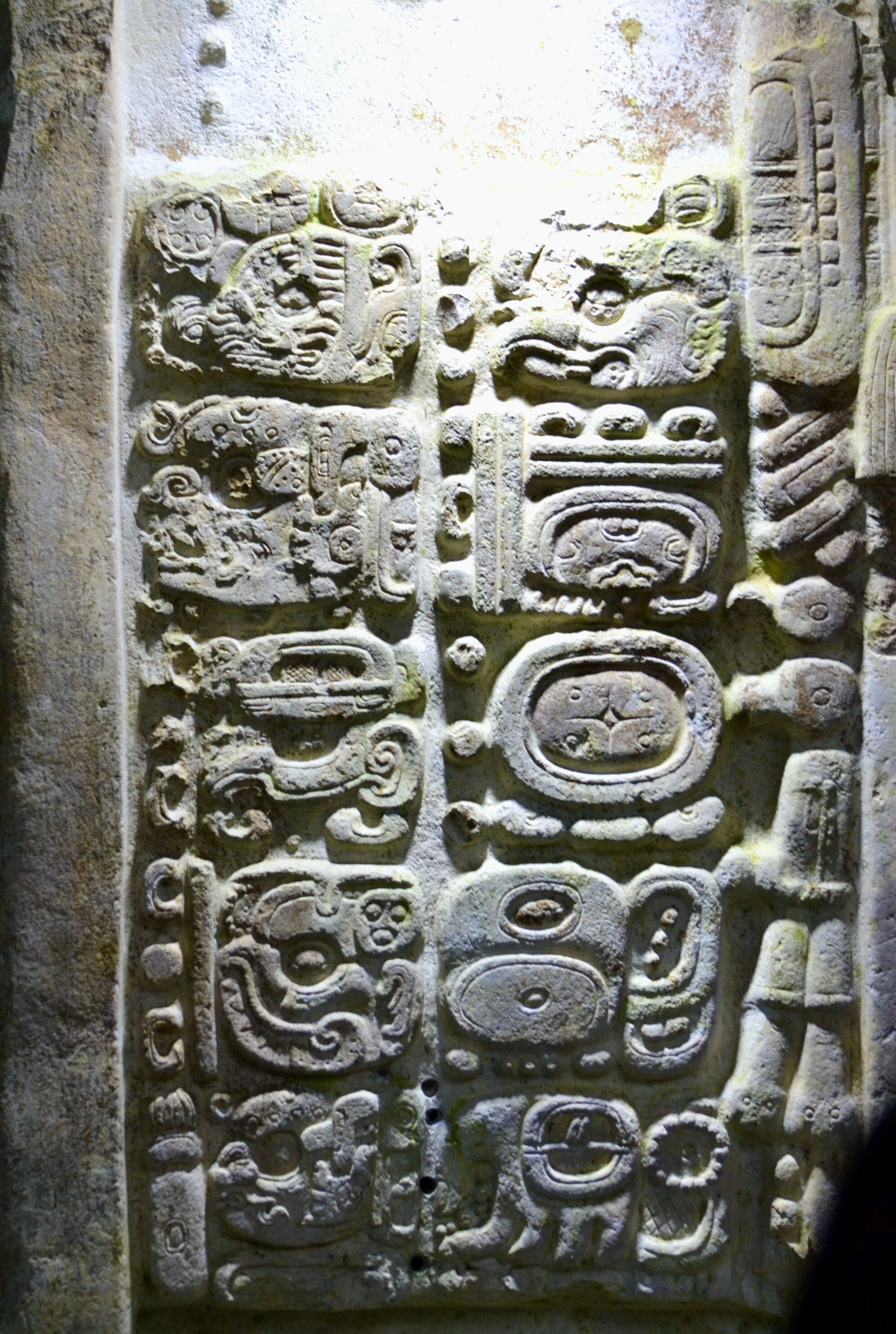 Photo - Jungle Lodge Tikal Hostal