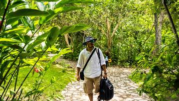 A man walking on a stone path surrounded by lush greenery.