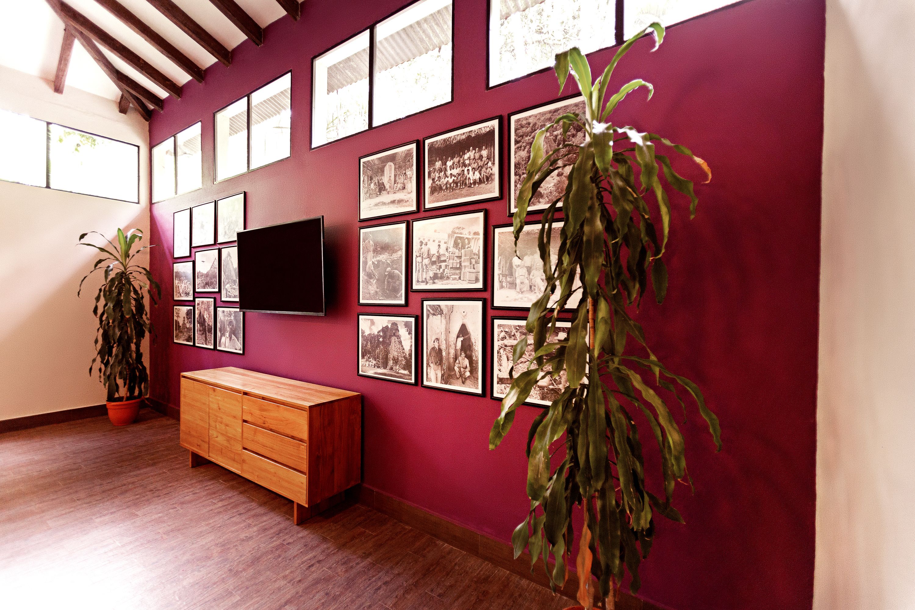 Photo - Jungle Lodge Tikal Hostal