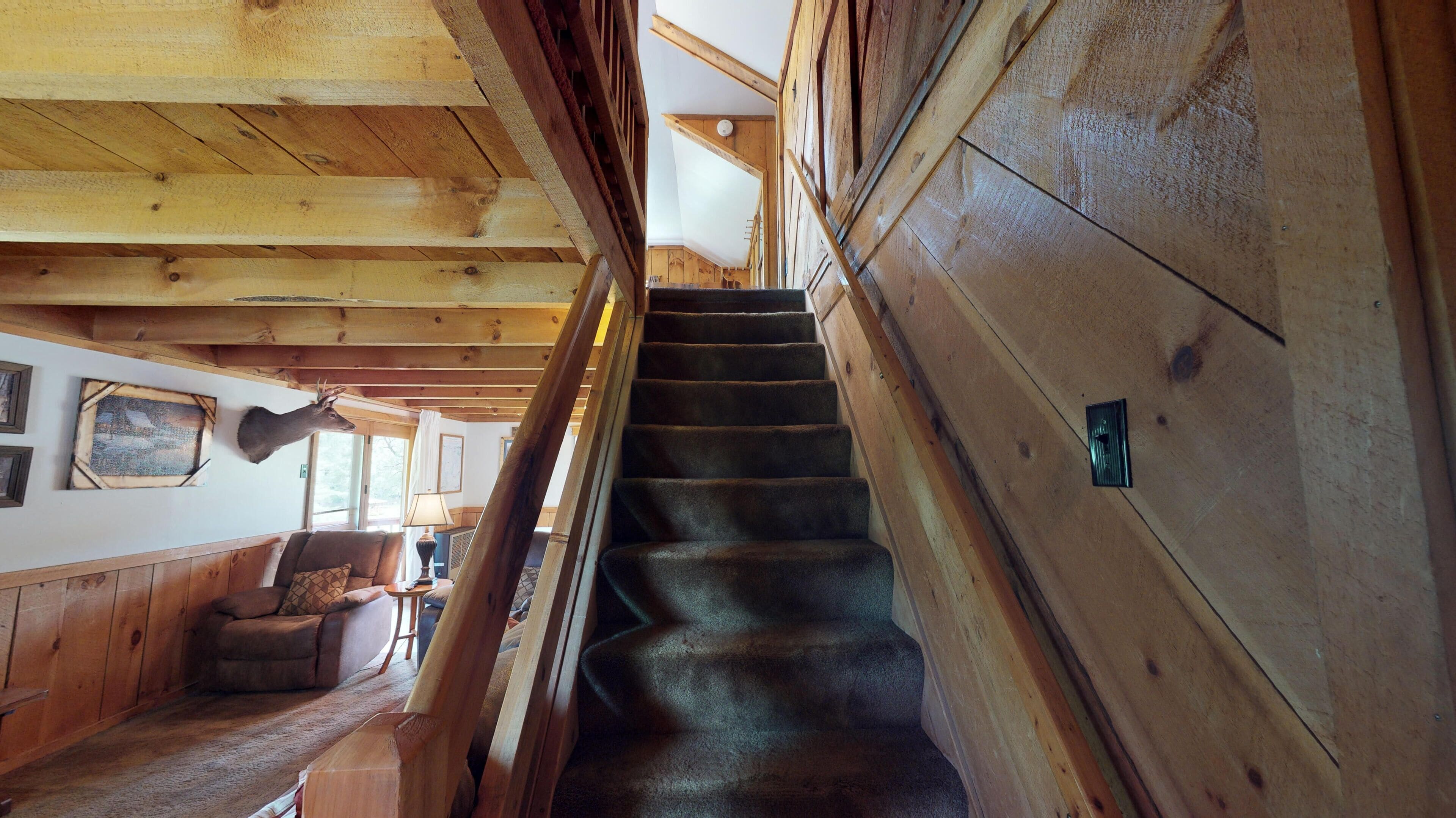 A wooden staircase with a carpeted landing, wooden walls, and a deer head decoration.