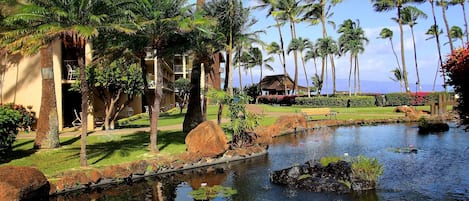 Lejlighed - 2 soveværelser | Overnatningsstedets område