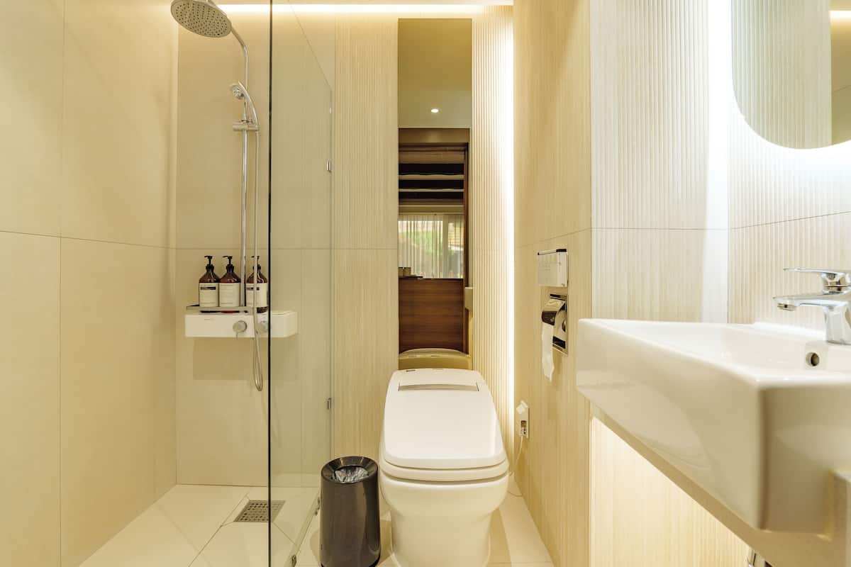 shower, free toiletries, hair dryer, bathrobes