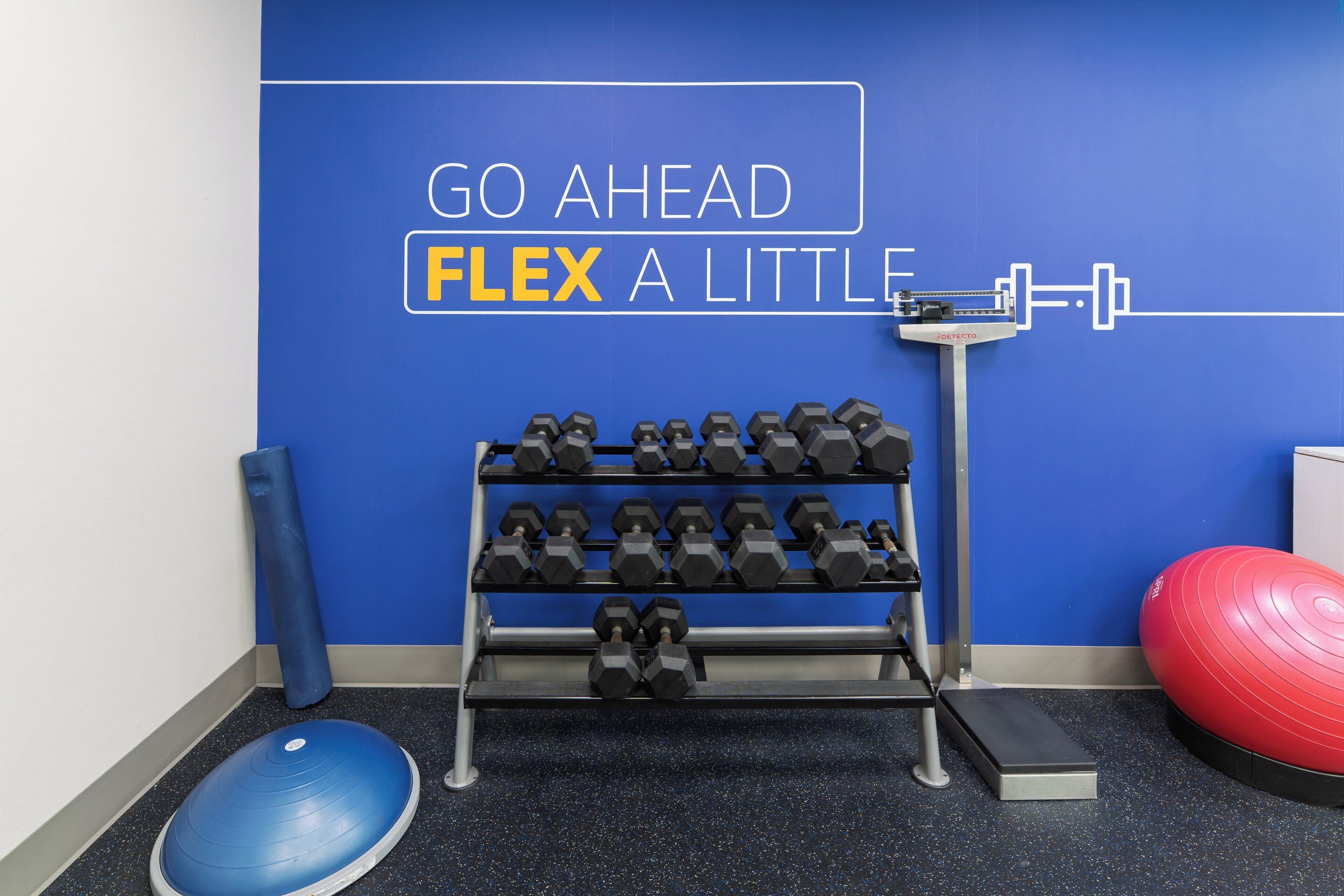 A gym with a blue wall, a rack of dumbbells, a step platform, a blue exercise ball, and a red exercise ball.