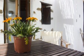 A potted plant with yellow flowers on a wooden table.