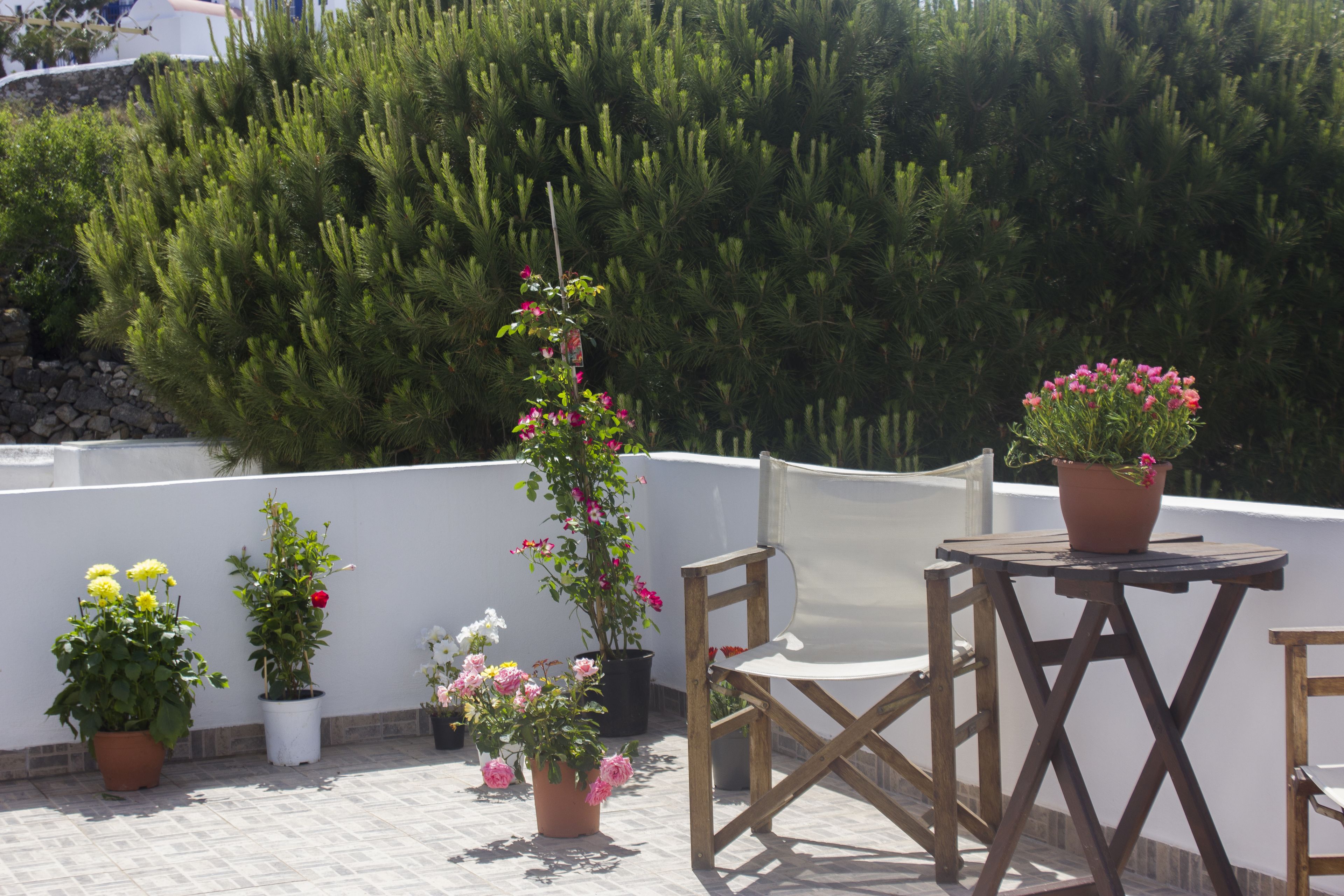 Photo - Sourmeli Garden Hotel