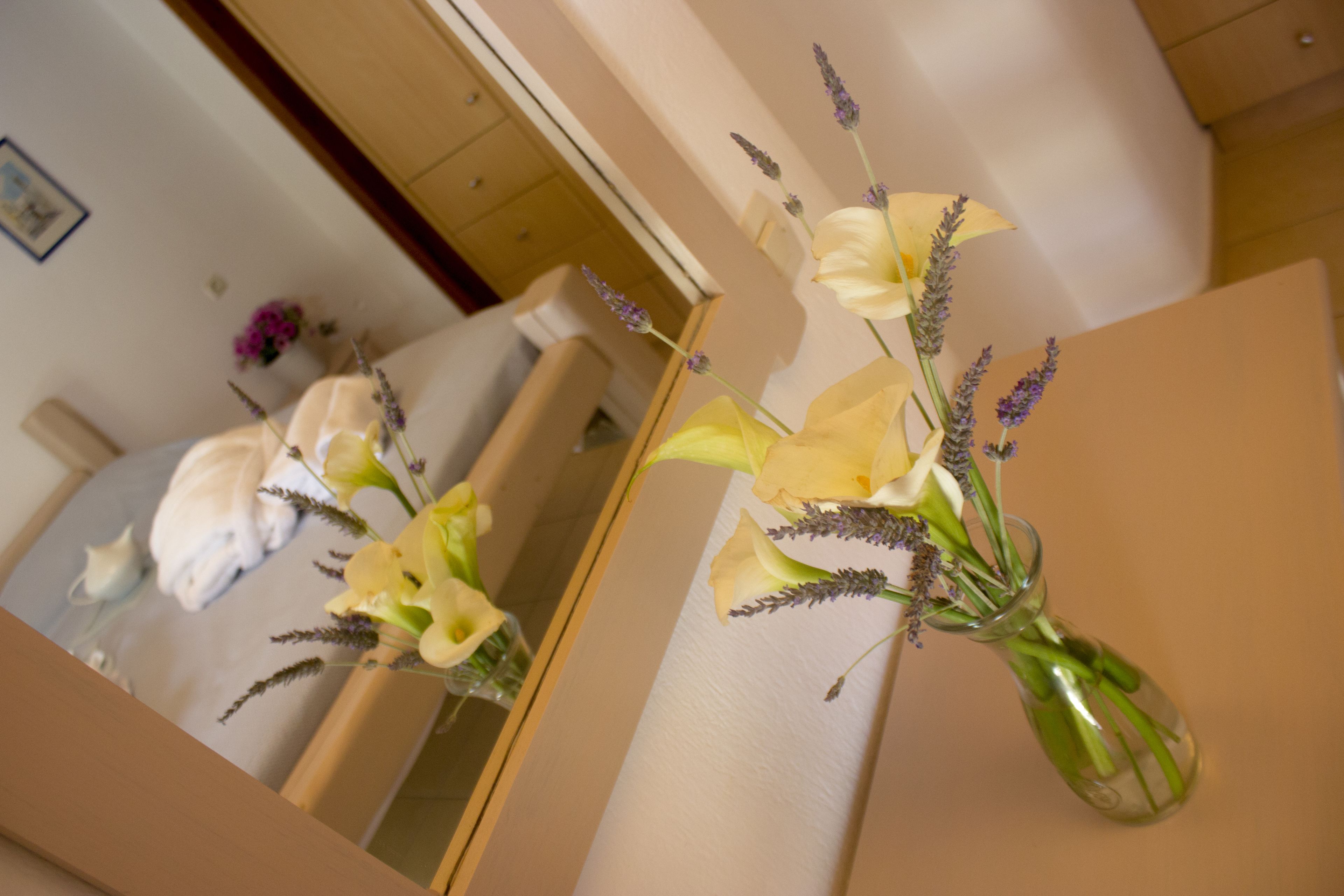 Photo - Sourmeli Garden Hotel