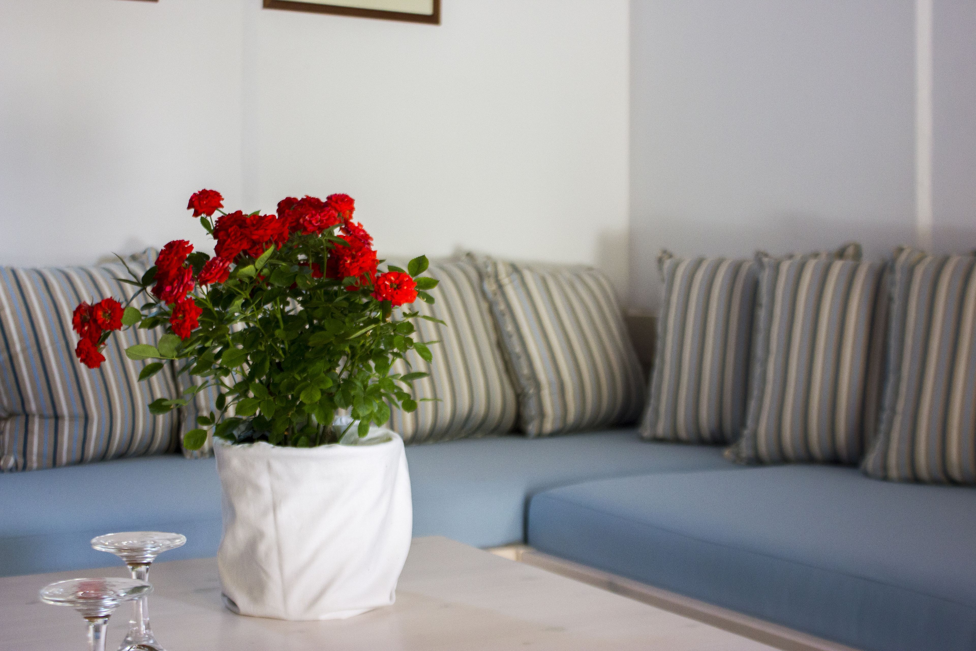 Photo - Sourmeli Garden Hotel