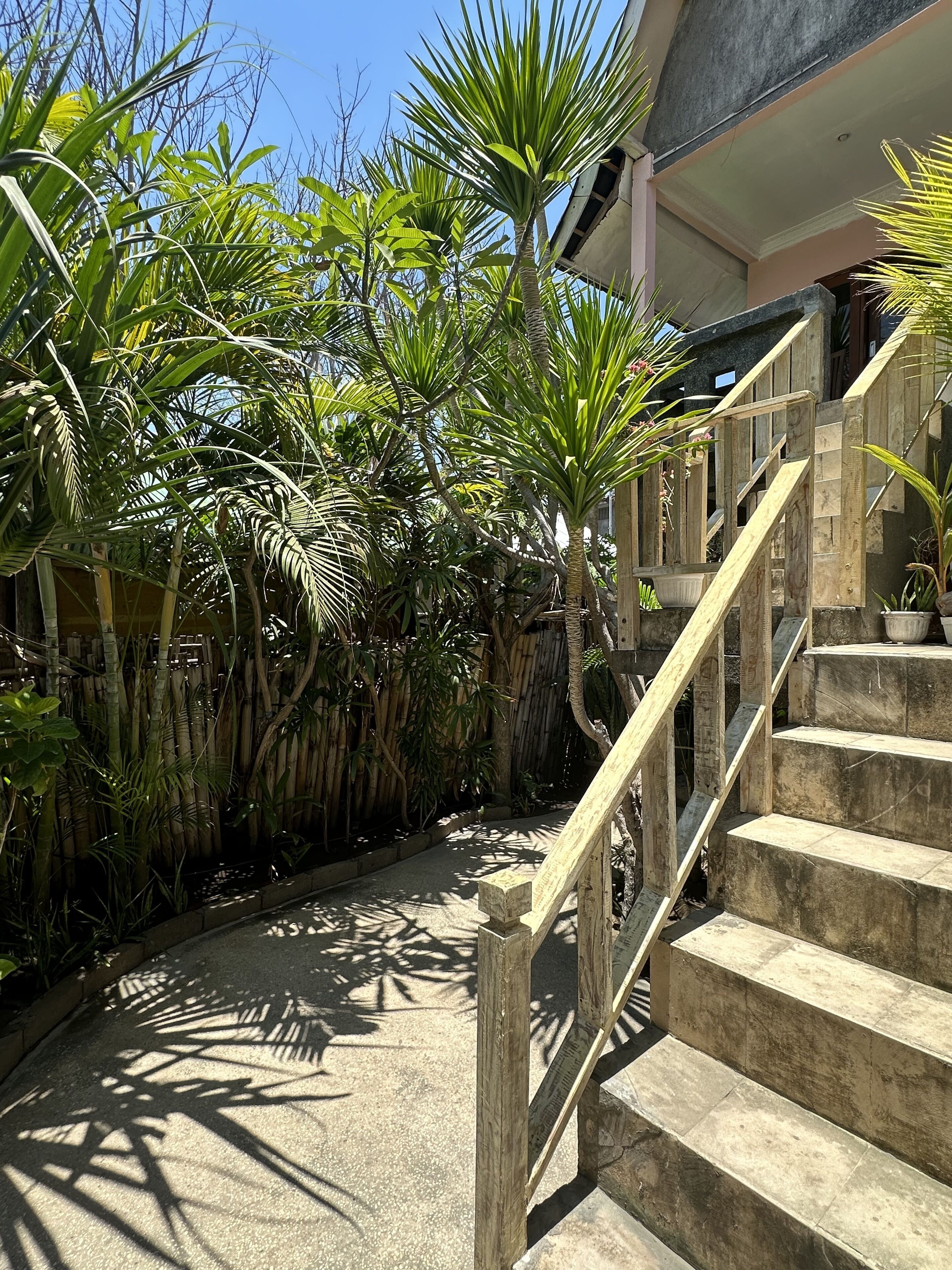 A staircase surrounded by lush tropical plants, leading to a building with a beige exterior and a stone balustrade.